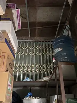 YANINA120 online show from March 1, 10:50 am