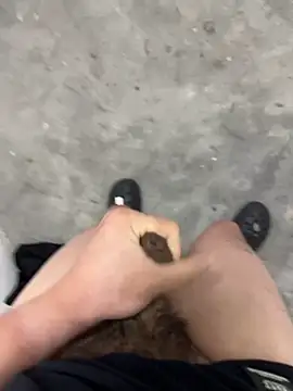 Wvpppp online show from March 3, 11:49 am