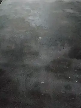 Sgs594802799 online show from March 23, 8:24 pm