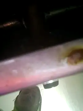 Snapshot of khushi_rawat chatting on February 12, 2:17 am khushi rawat online show from February 12, 2:17 am