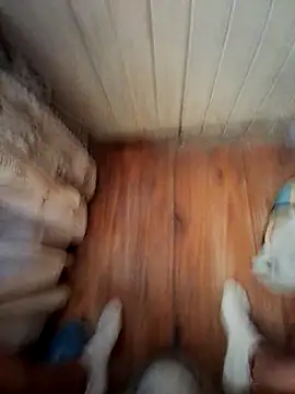 Franco10 - online show from February 15, 9:11 pm