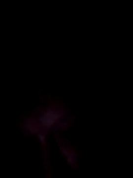 UnshodSixties online show from June 7, 9:40 pm