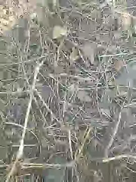 Cute Boy 4 online show from March 9, 8:40 am