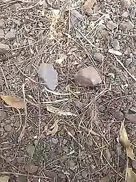 Cute Boy 4 online show from March 19, 7:45 am