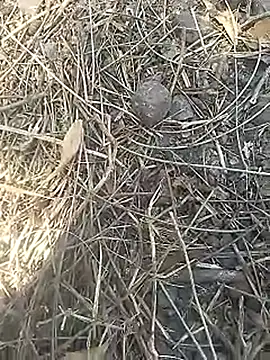 Cute Boy 4 online show from April 2, 7:28 am