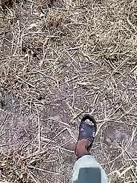 Cute Boy 4 online show from April 18, 7:45 am