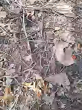 Cute Boy 4 online show from April 19, 9:08 am