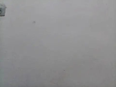 lorraine2036 online show from February 7, 2:10 pm