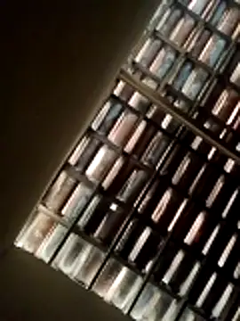 lorraine2036 online show from February 22, 9:52 am