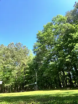 magic man1085 online show from April 18, 2:54 pm