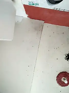 cynliu online show from April 14, 2:23 pm