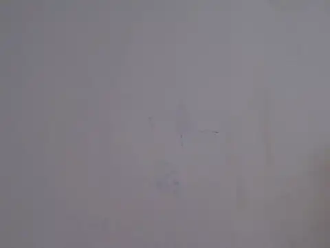 Snapshot of placerverdadero chatting on February 15, 5:48 am placerverdadero online show from February 15, 5:48 am