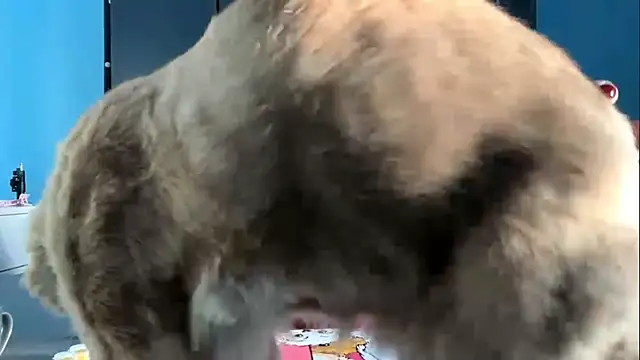 AndreeMerryman online show from February 5, 8:08 am