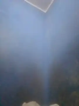 S7LEALTADPERVLIMA7 online show from April 12, 6:02 pm