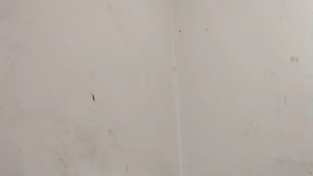 MisterSnowww online show from March 6, 9:55 pm