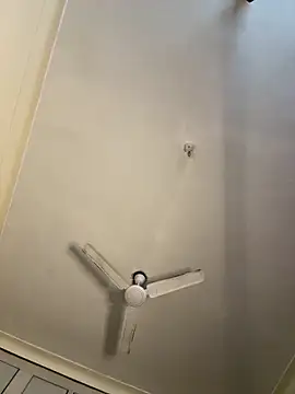 torchermachine online show from April 8, 8:20 pm