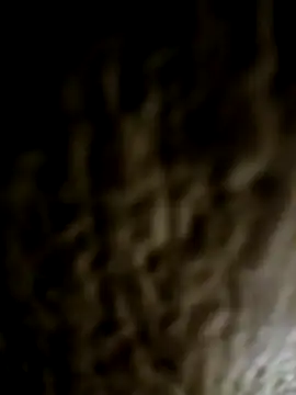 Taboada20 online show from March 27, 8:08 pm