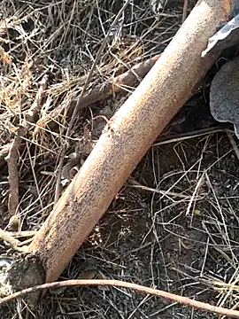 Vinita cuty online show from February 9, 4:16 am