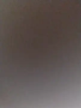 conejitalia online show from March 7, 7:05 am