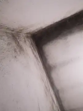 Snapshot of Lamich chatting on February 13, 9:33 pm Lamich online show from February 13, 9:33 pm