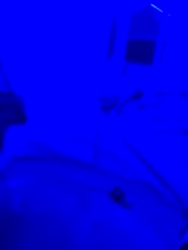 bojo69 online show from February 13, 12:12 pm