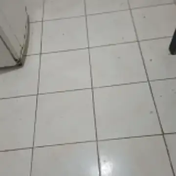 xxxxxbucetudaxxxxxxx online show from February 7, 11:47 am