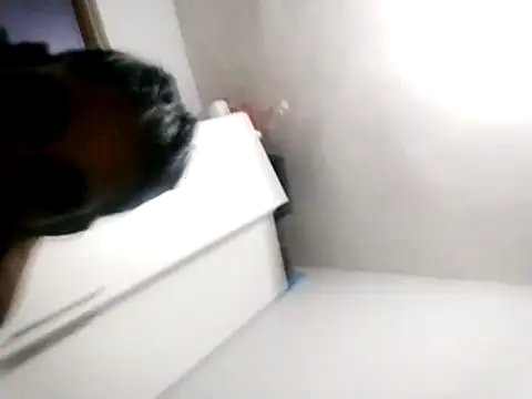 Baby P online show from March 18, 5:49 pm