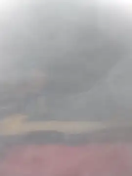 cobrosdepagos online show from March 14, 3:06 pm