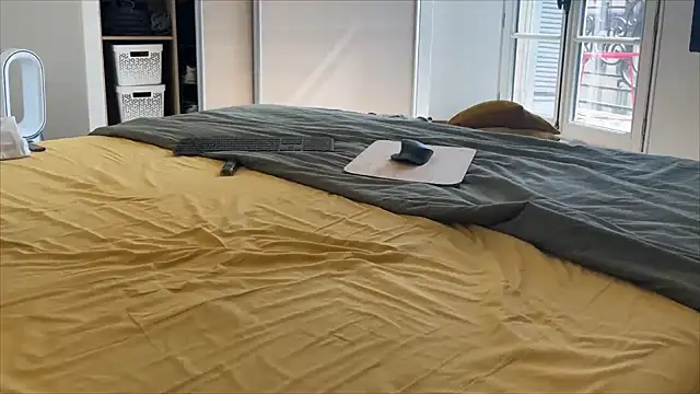 irohsako online show from March 21, 11:37 am