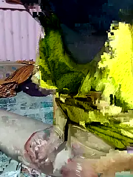 mimpake online show from April 2, 10:24 am