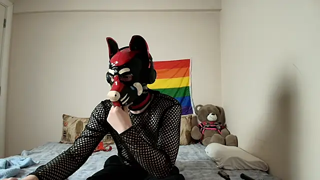 K9 GoodBoy online show from April 9, 5:51 pm