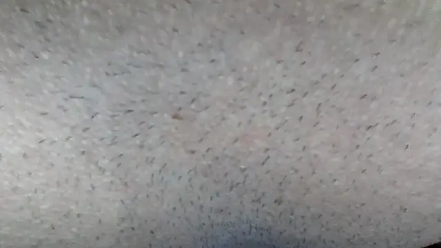 machodotado97 online show from March 15, 5:13 am