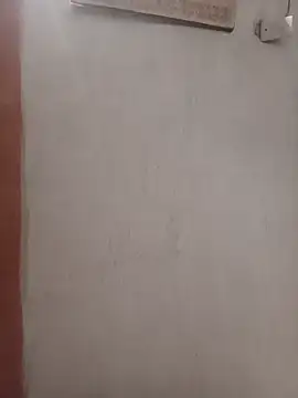 negopreto  online show from July 19, 2:48 am