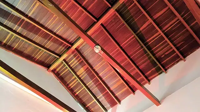 TonyPetrovjs online show from April 3, 6:00 am