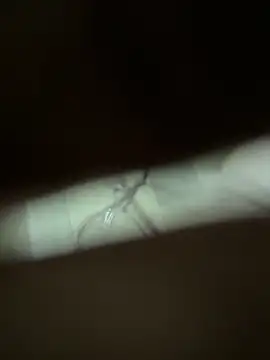 neekosam12 online show from March 23, 5:06 pm