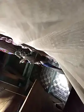 Big-all012 online show from February 23, 9:50 am