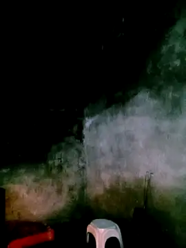 elen8800 online show from April 19, 11:09 am