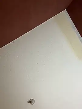 Snapshot of MoonGoddess424 chatting on February 24, 4:10 am MoonGoddess424 online show from February 24, 4:10 am