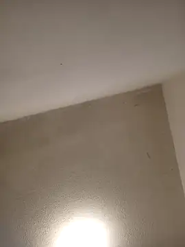 priscilaf online show from April 7, 9:43 am