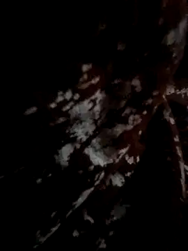 Couple hot999 online show from March 4, 2:56 pm