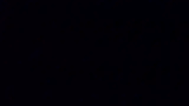 A model1 online show from March 23, 10:30 am