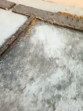 Desii rockstarr online show from March 11, 1:11 am