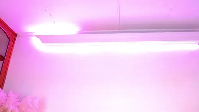 Rebeldana online show from March 14, 10:53 am