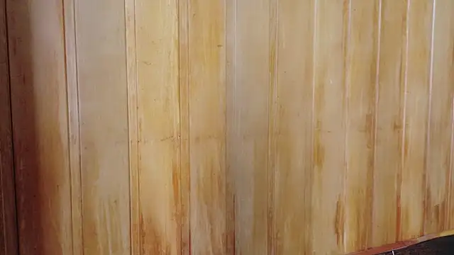 Eliffe jhonson online show from March 16, 12:09 pm