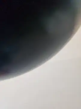 dufatcock online show from April 14, 6:03 pm