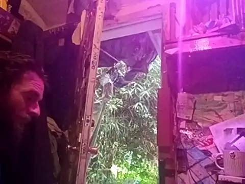 nearby causual online show from July 1, 1:29 am
