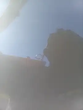 pervertidonegro online show from March 23, 12:42 pm