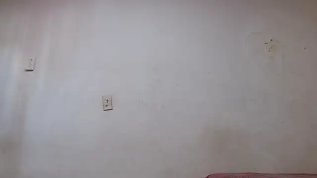 pircohg online show from April 22, 5:58 pm