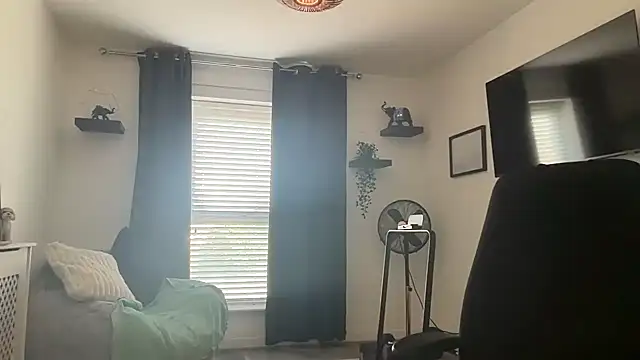 DaveRoyale online show from April 12, 12:10 pm