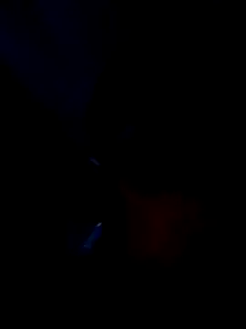 tony anna online show from April 27, 8:12 am